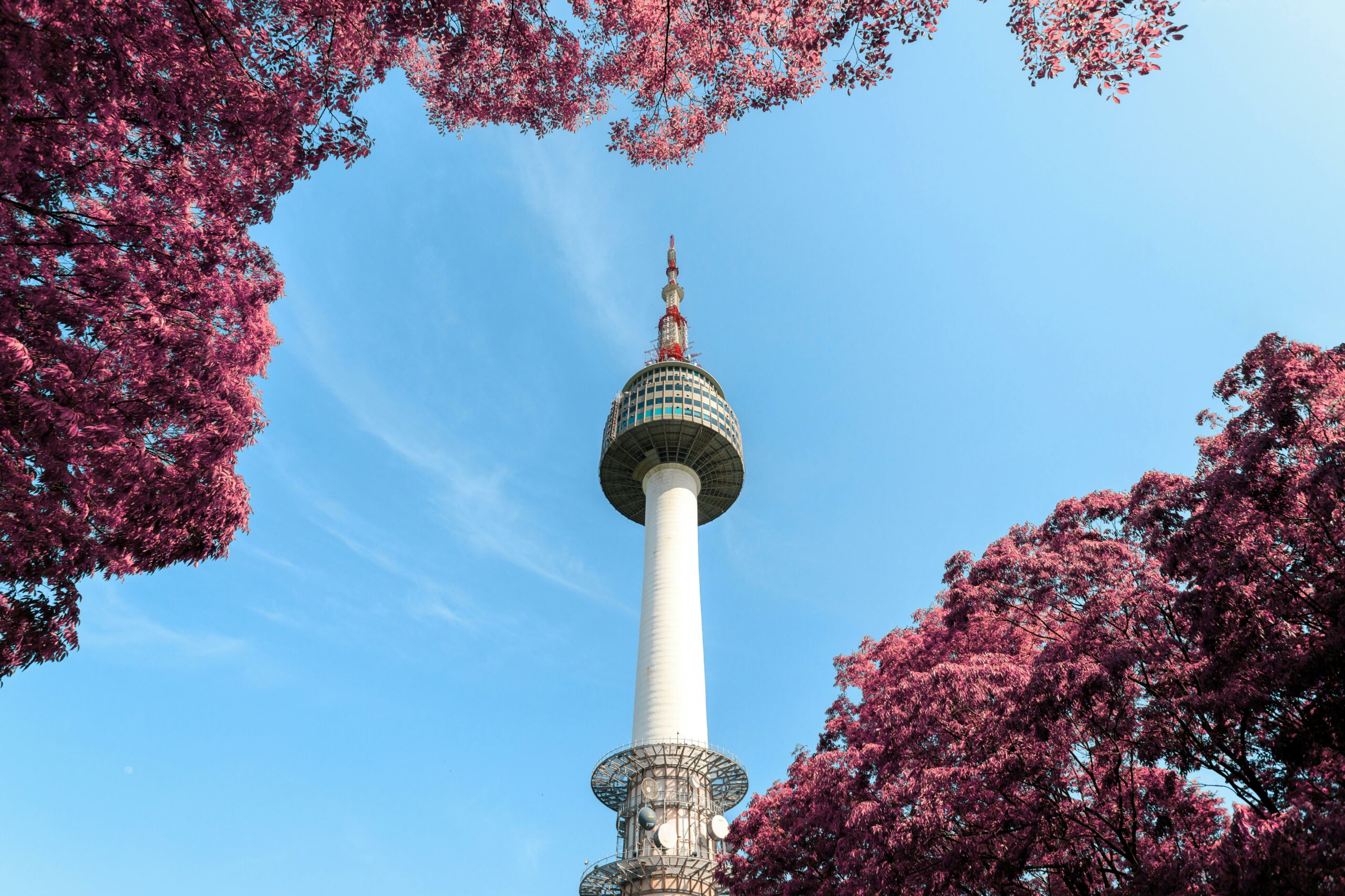 Namsan Tour - Séoul - Corée du Sud 